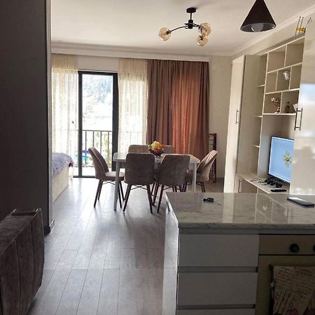Vitali Apartment Borjomi Ngoại thất bức ảnh