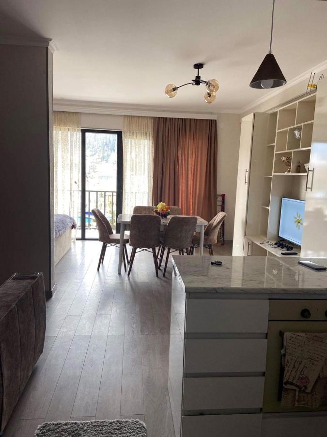 Vitali Apartment Borjomi Ngoại thất bức ảnh